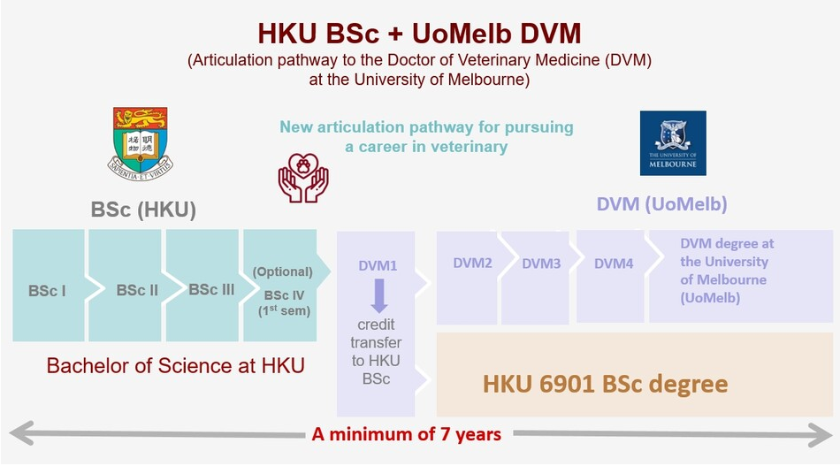 Articulation pathway to the Doctor of Veterinary Medicine at the University of Melbourne